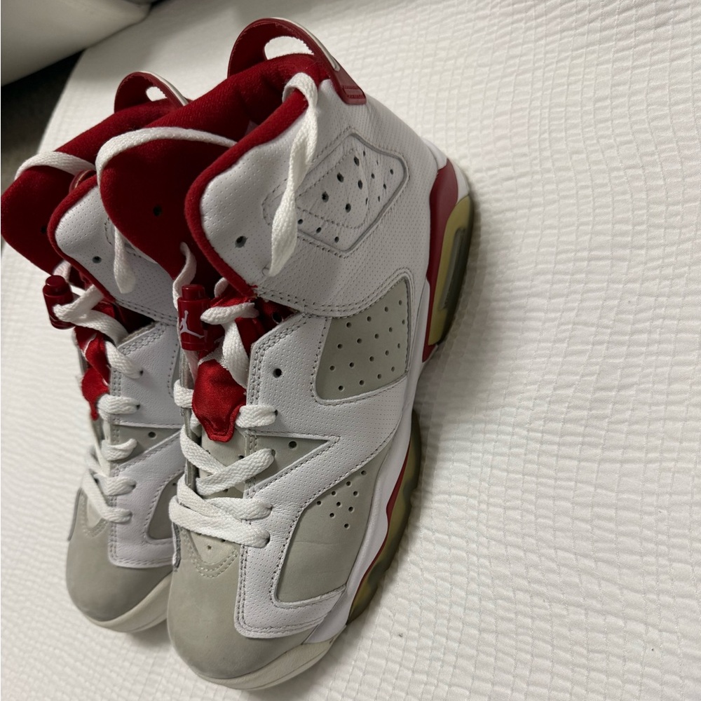 Air Jordan 6